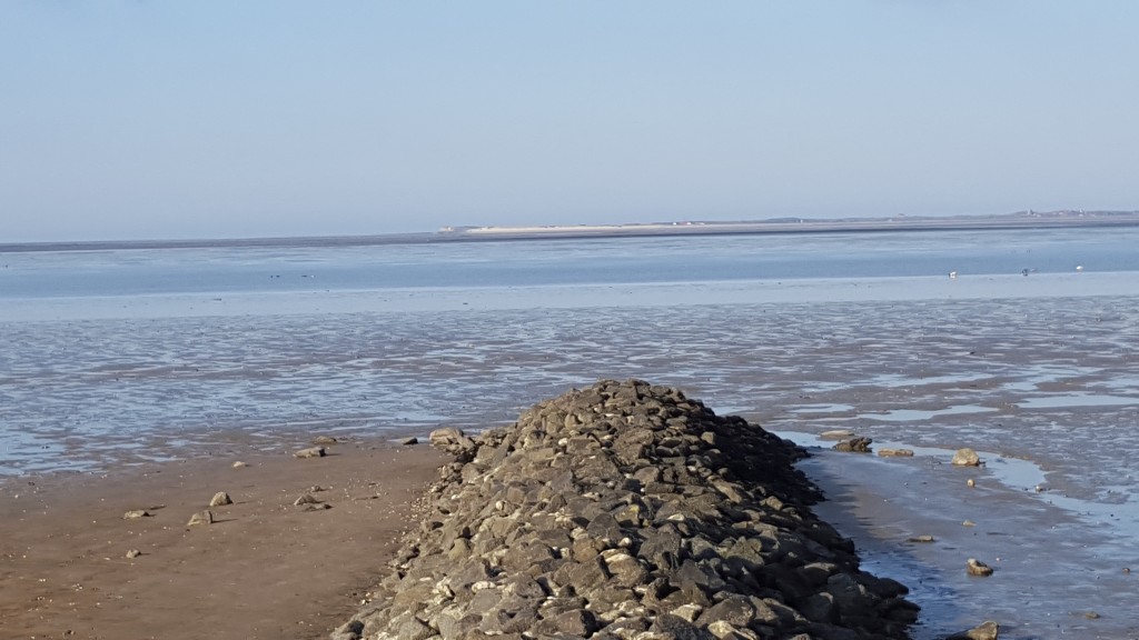 Blick von Neuharlingersiel über das Wattenmeer in Richtung Spiekeroog